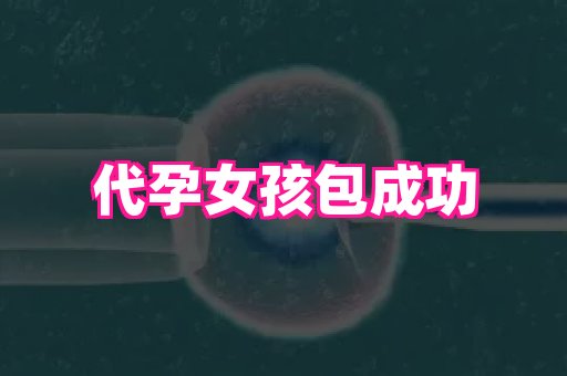 河南助孕网站 1