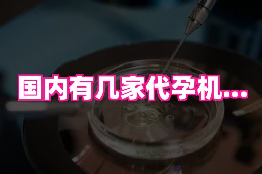 河南助孕网站 2