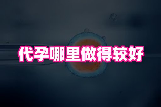 河南助孕网站 4
